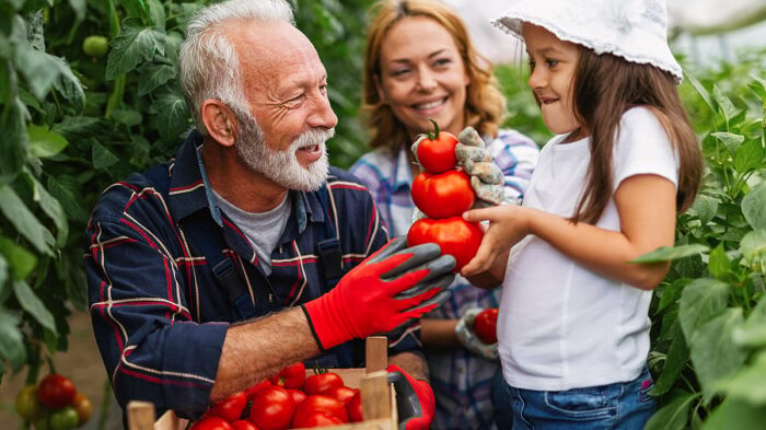 The Evolving Realities Around Succession in Family Businesses
